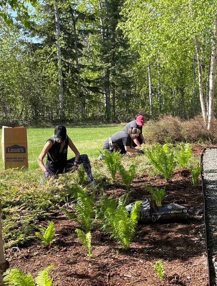 Volunteers planting ferns in the garden beds outside the Fisher House